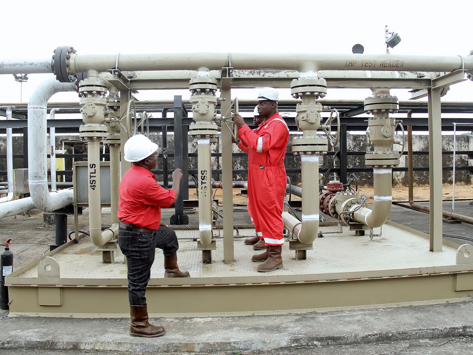 Platform Petroleum — OPL 2008